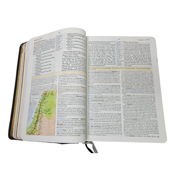 HCSB Holman Christian Standard Study Bible Indexed Gray Simulated Leather 2010 - Picture 15 of 16